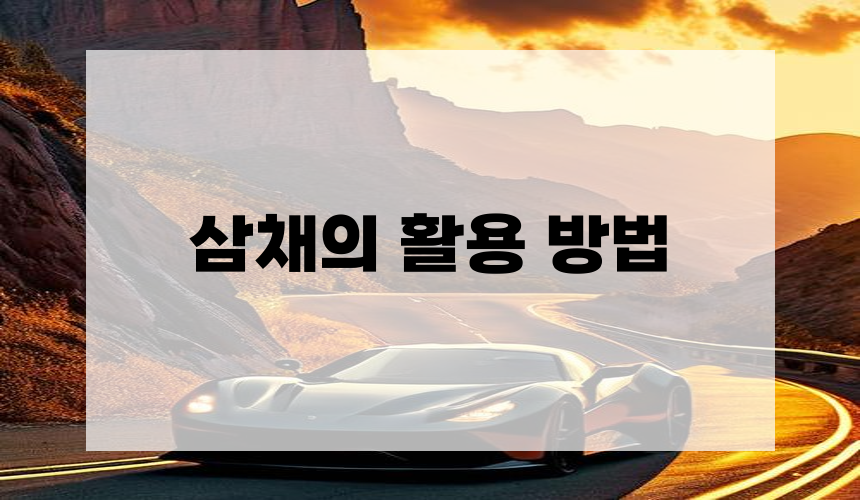 삼채의 활용 방법