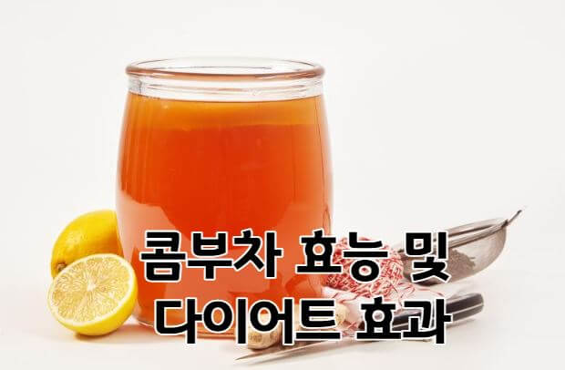 콤부차 효능 및 다이어트 효과