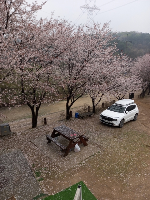 용인반딧불캠핑장