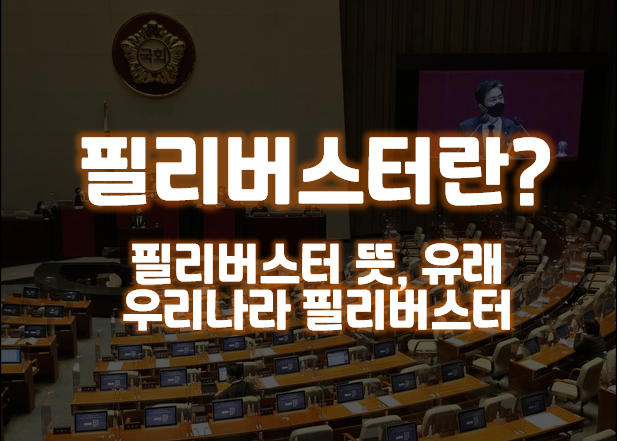  필리버스터 뜻