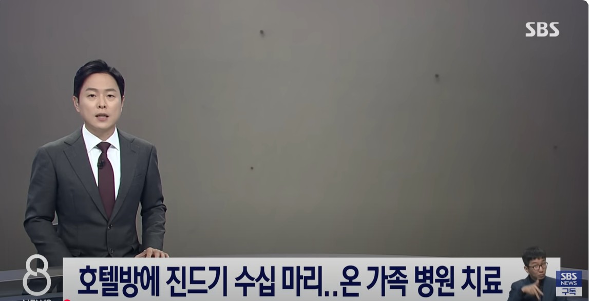 대구 호텔 진드기 사건 사진