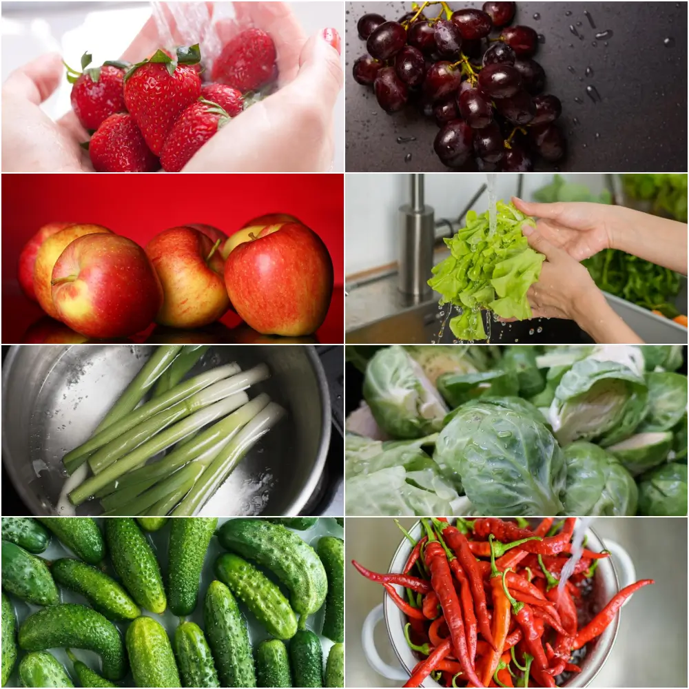 과일 채소 사진 모음