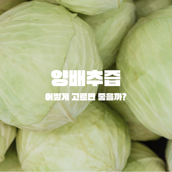 양배추즙&#44; 어떻게 고르면 좋을까?