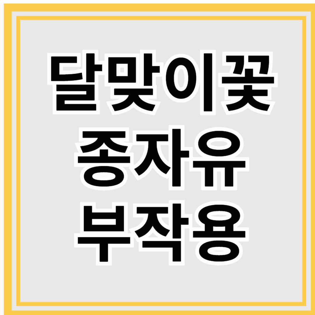 달맞이꽃종자유 부작용