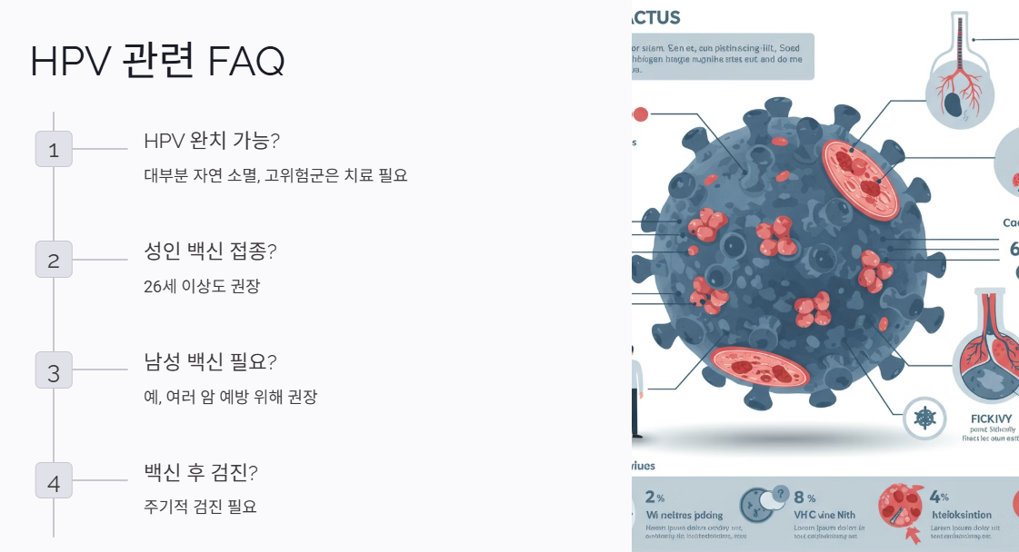 HPV 자주하는 질문 FAQ