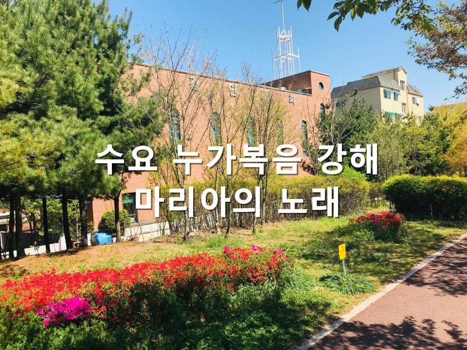  누가복음 1장 26절~55절 마리아의 노래