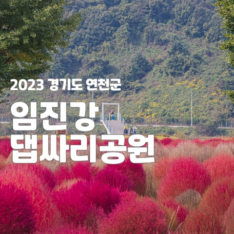  2023 경기도 연천군 임진강댑싸리공원