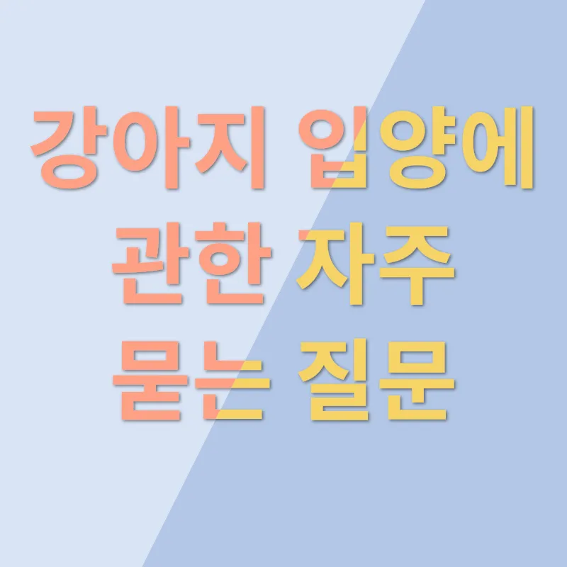 강아지입양_4