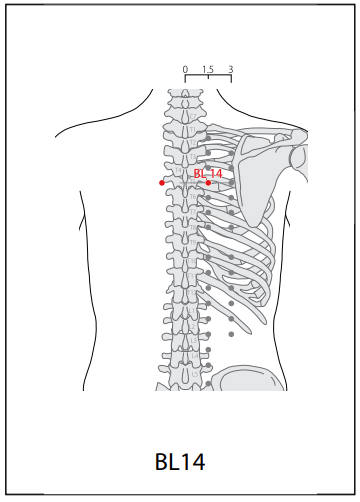 족태양방광경(BL) > BL14 궐음유 (厥陰兪) 1