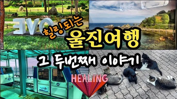울진 가볼만한곳 베스트10 현지인 추천 필수코스_8