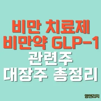 비만치료제 대장주 관련주 TOP5 총정리_23