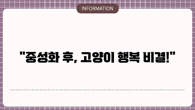 고양이 중성화 수술 후 관리