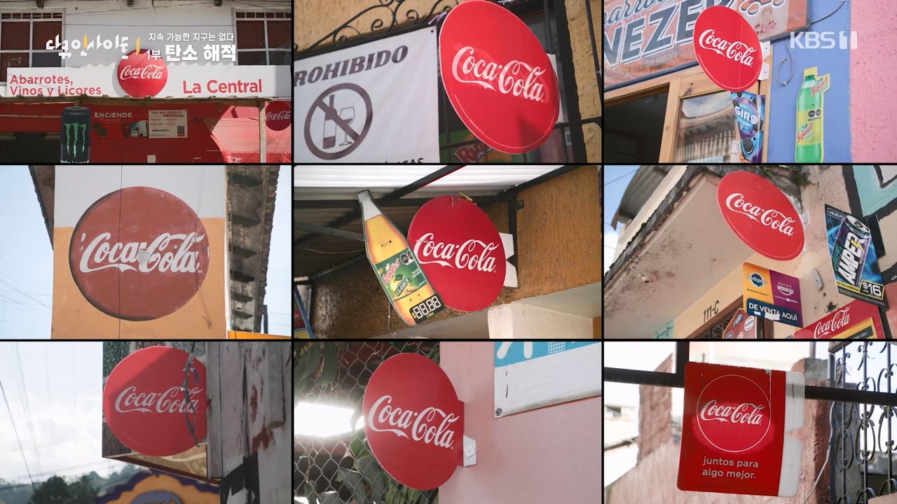 다큐 인사이트.E177.240112p-NEXT.mp4_20240113_155839.465.jpg