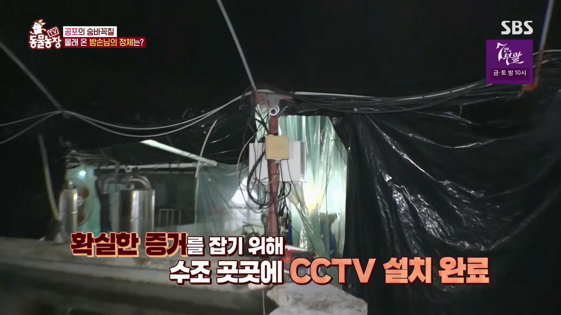 TV 동물농장.E1165.240331p.H264-F1RST.mp4_20240331_144344.888.jpg