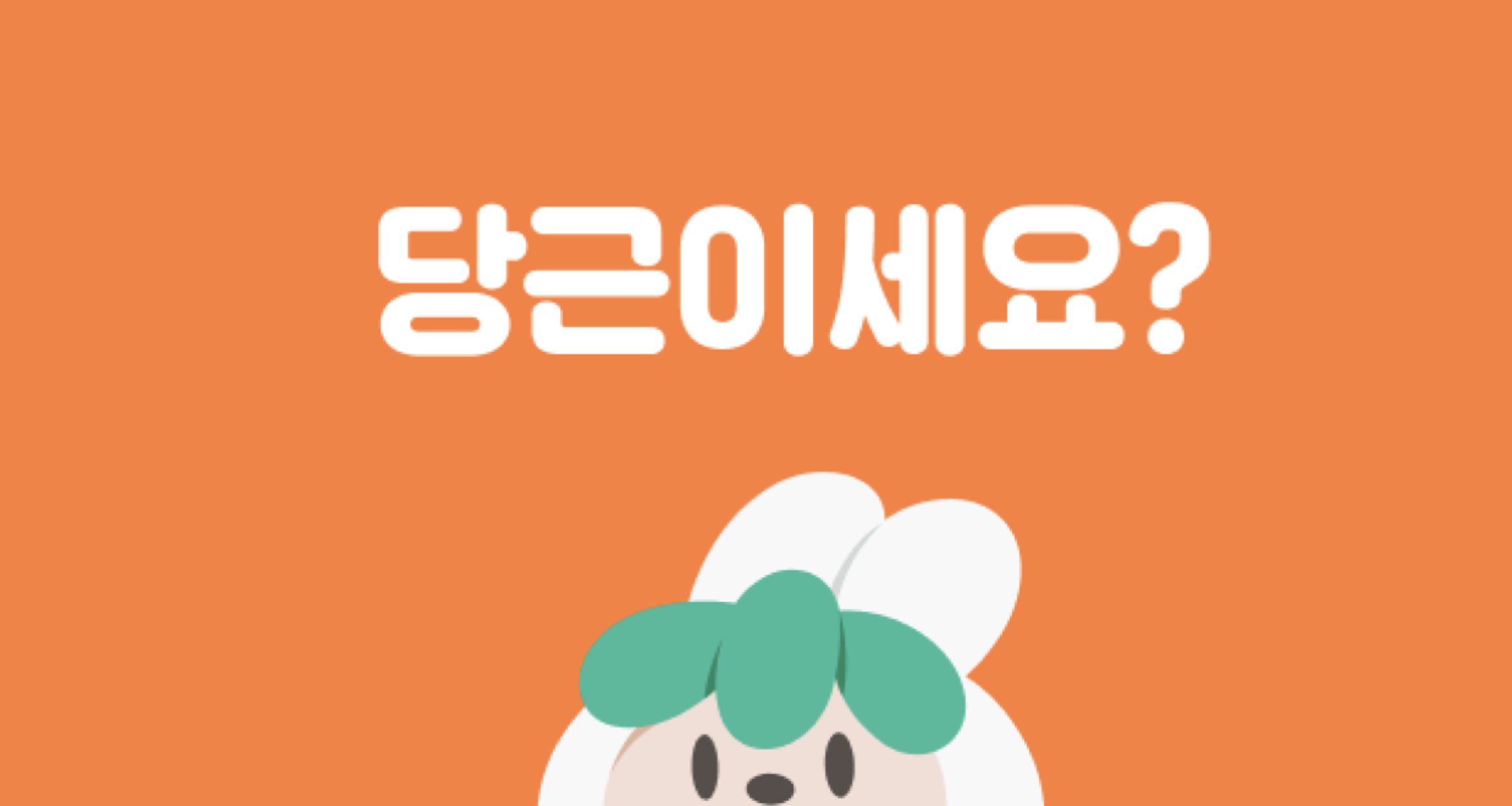  중고거래 절대 팔면 안되는 것 (중고거래금지품목)