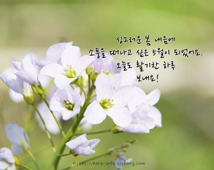 5월 인사말 모음집