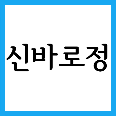  소염진통제 신바로정, 효능과 주의사항 자세히 알아보기