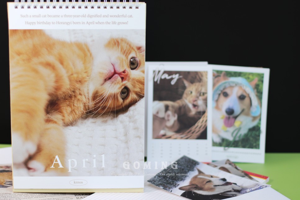 백호랑이 주문, 이웃집의 죽도록 사랑해!!!! 21