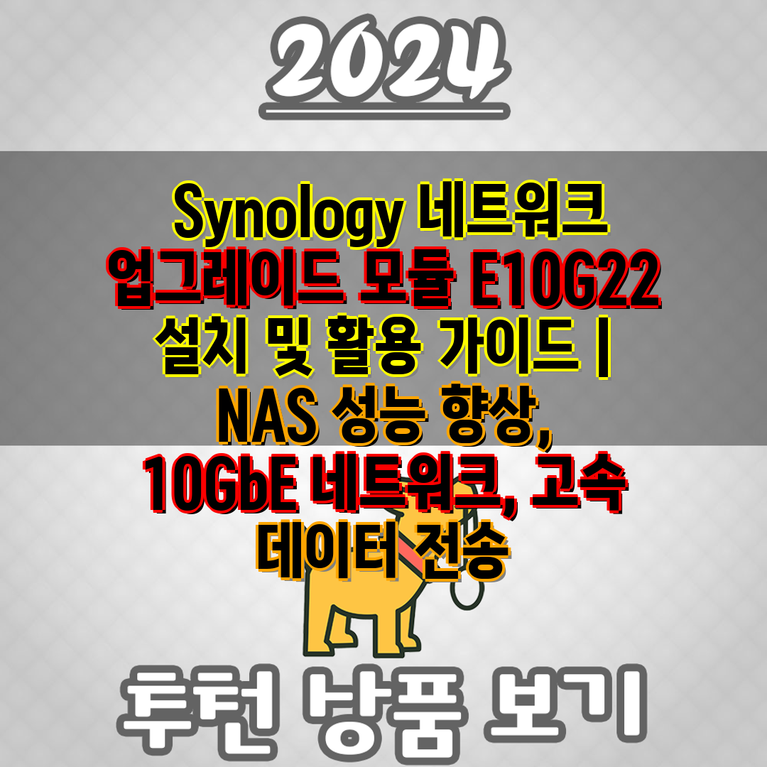  Synology 네트워크 업그레이드 모듈 E10G22