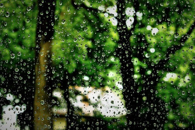 빗방울이 맺혀 있는 창문에서 바라 본 초록 풍경