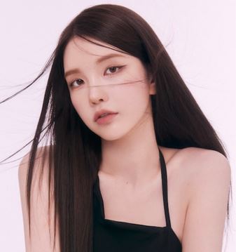 유튜버 수스