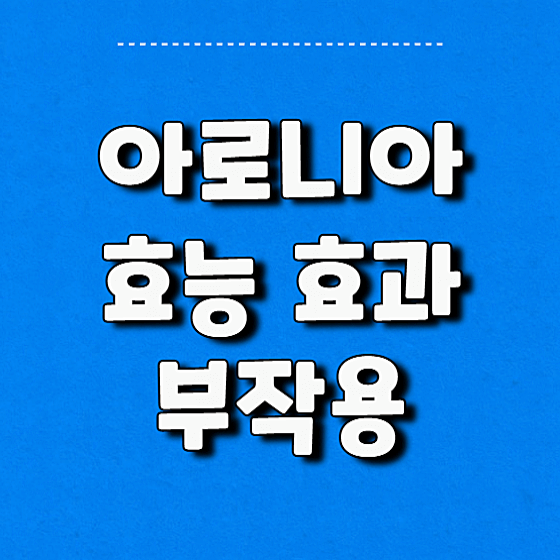 아로니아 효능