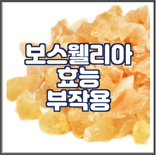  보스웰리아 효능 및 부작용, 먹는방법 정리