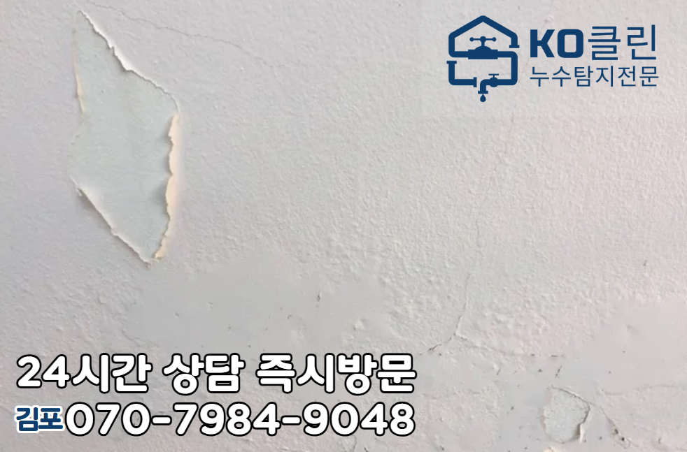 양촌읍 아파트/빌라/상가건물2