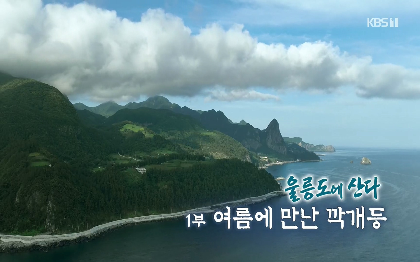 다큐울릉도에산다.E01.220909p.H264-F1RST.mp4_20220912_174323.211.jpg