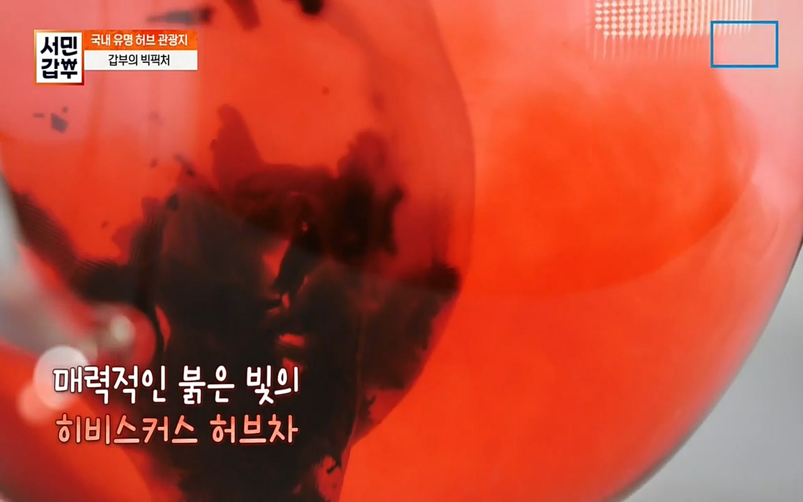 서민 갑부.E380.220424p-NEXT.mp4_20220424_184111.061.jpg