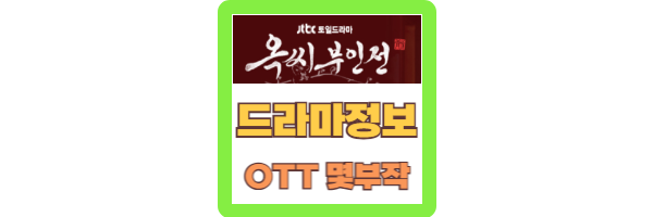 옥씨부인전 OTT