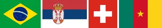브라질&#44; 세르비아&#44; 스위스&#44; 카메룬 국기
