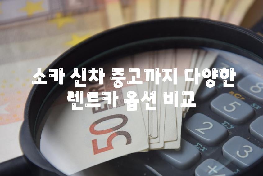  소카 신차 중고까지 다양한 렌트카 옵션 비교