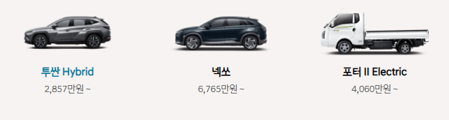  현대자동차 전기차 보조금(저공해차 통합 누리집)