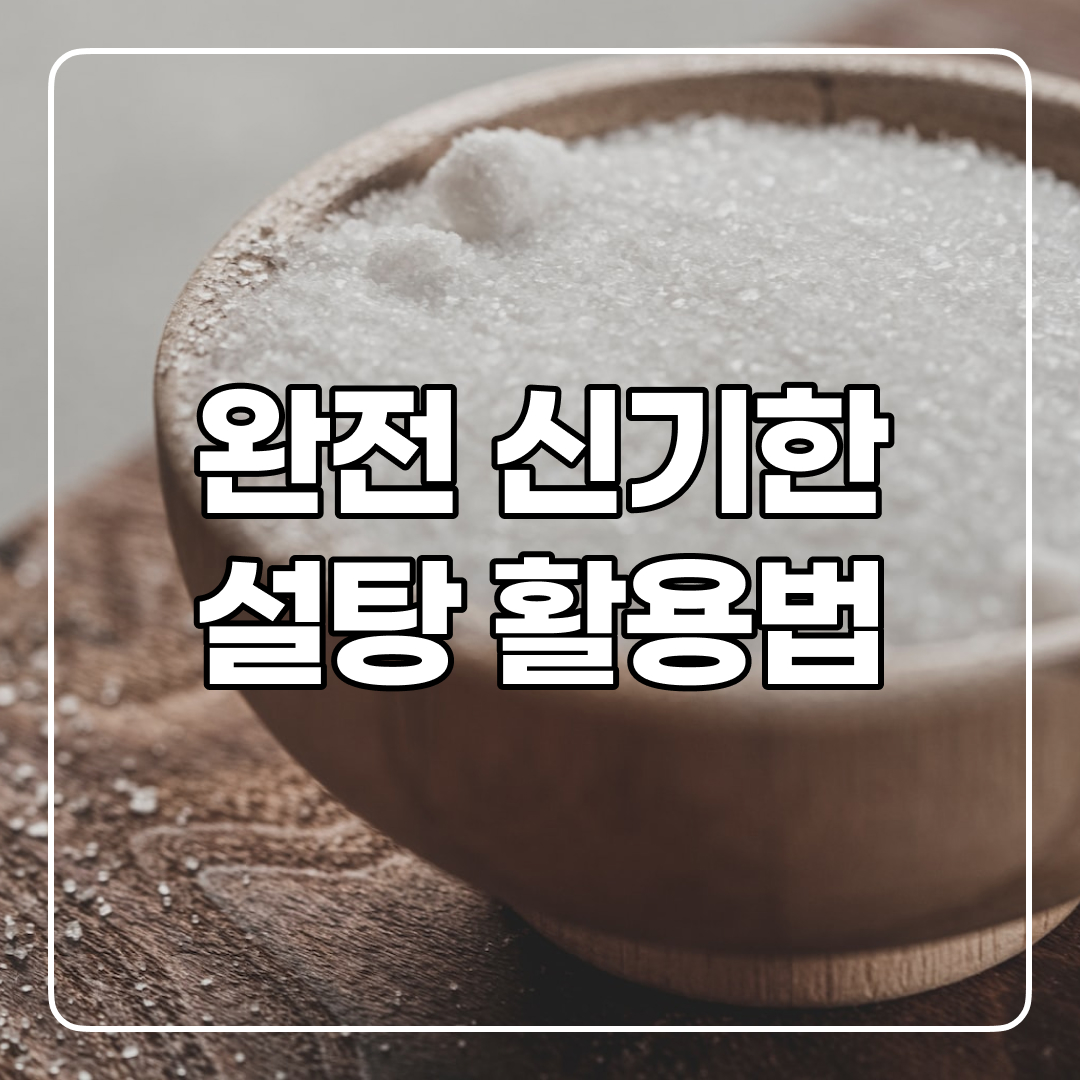  유통기한 지난 설탕 현명하게 사용하는 법!