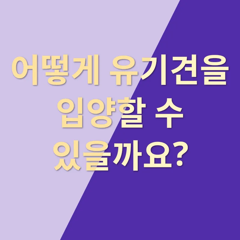 유기견 입양_2