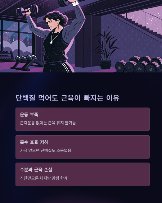 단백질 먹어도 근육이 빠지는 이유