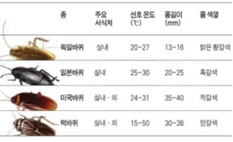 바퀴벌레 퇴치방법 총정리_3