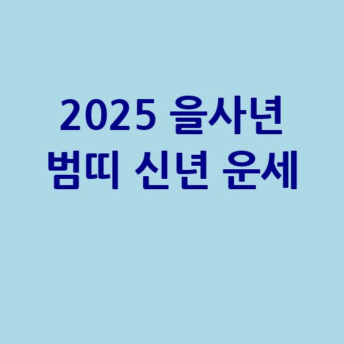 2025 을사년 범띠 신년 운세