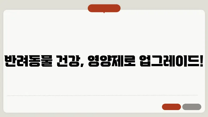 반려동물 영양제, 꼭 알아야 할 정보들