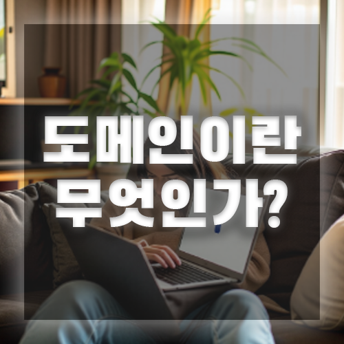 도메인이란 무엇인가?