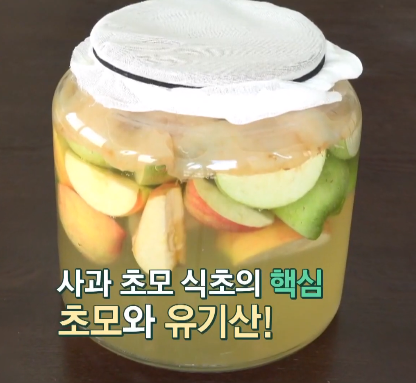  사과초모식초 (효능, 만드는법, 먹는법, 부작용)