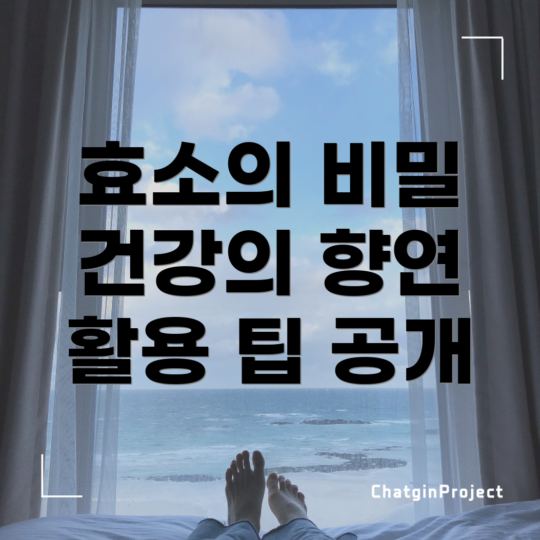 효소의 탁월한 효능