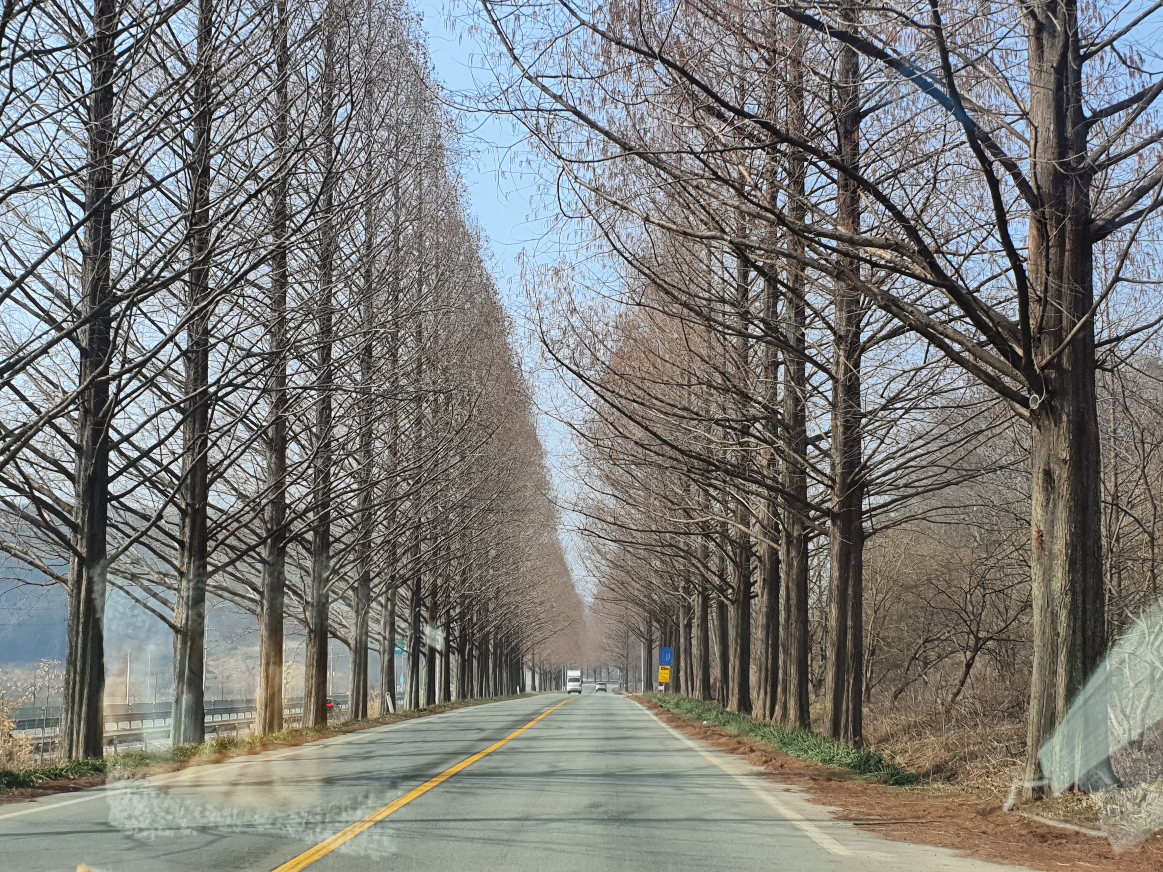  담양 당일치기