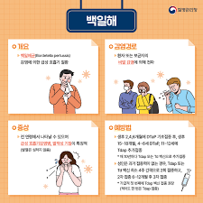 백일해 예방접종 가격 시기 (무료접종 신청)