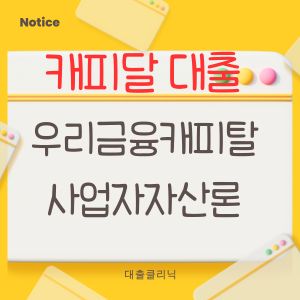 우리금융캐피탈 사업자자산론