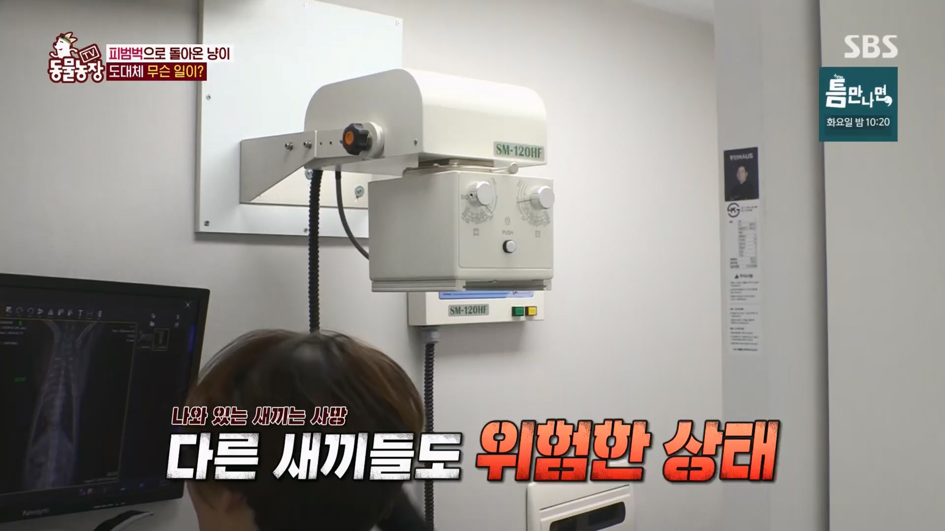TV 동물농장.E1170.240505p.H264-F1RST.mp4_20240505_153813.488.jpg