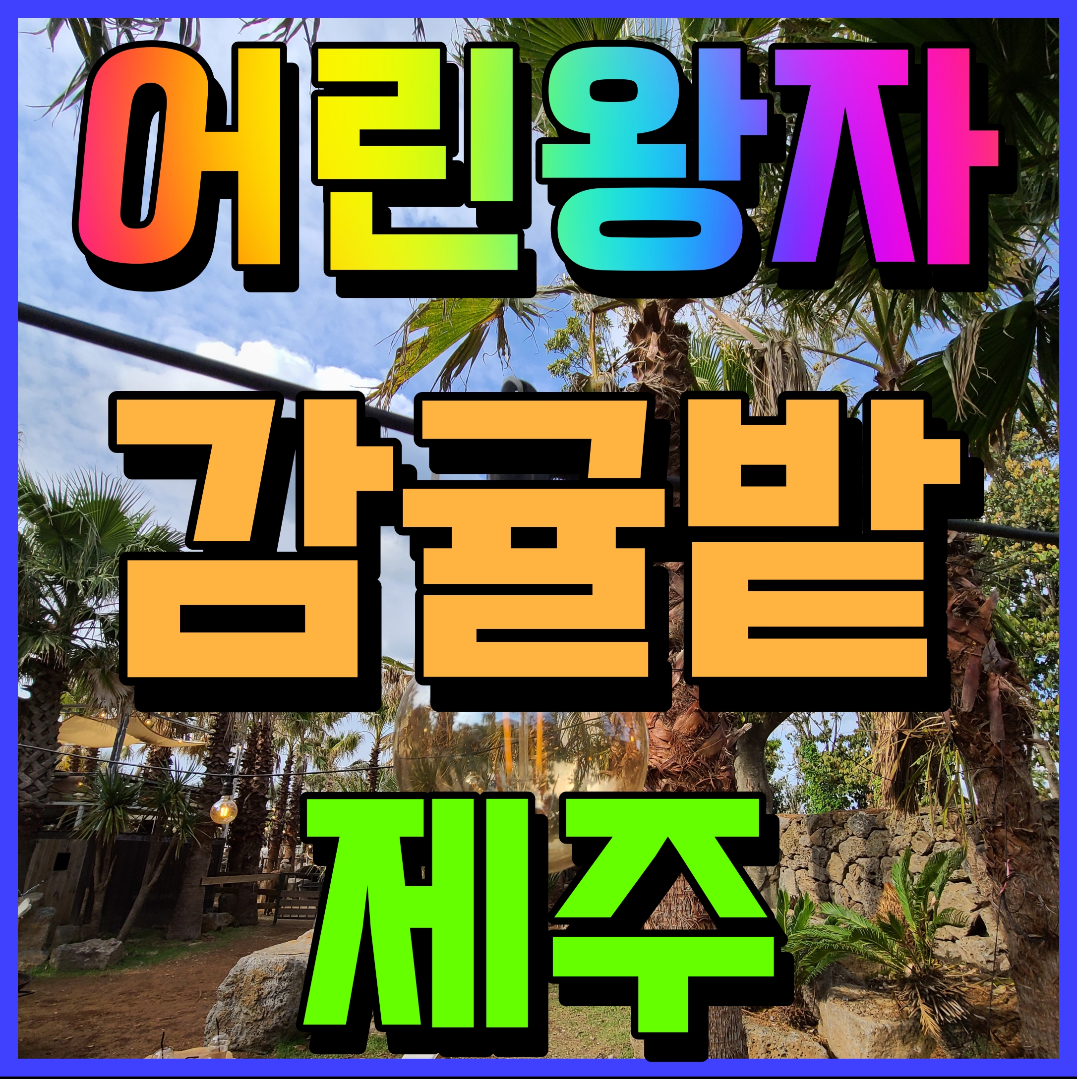  제주 어린왕자 감귤밭 동물 먹이주기 체험 가능 카페 아이와 갈만한곳
