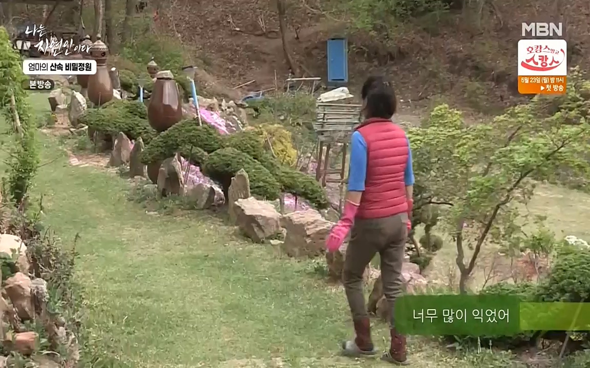 나는 자연인이다.E501.220512p-NEXT.mp4_20220512_185635.228.jpg