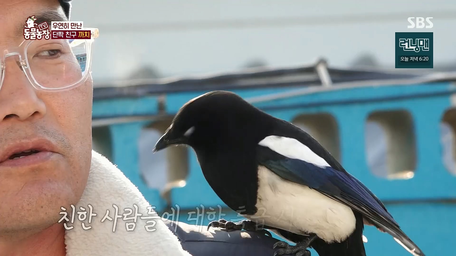 TV 동물농장.E1102.230101p.H264-F1RST.mp4_20230101_182834.649.jpg